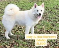 processed/20fd2497-92df-4c3b-a169-e6b38bcdd1d0/facility/6c6f404a-5f04-43d2-9932-843ab53fe5c4