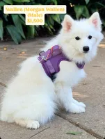 processed/20fd2497-92df-4c3b-a169-e6b38bcdd1d0/facility/ddd7f659-7ac7-4fa9-b00d-8f5ea68f15e8