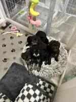 processed/20fd54d8-afef-4f7c-86a2-c6c8940d697e/facility/077de97f-4489-419f-a6ae-5b729d973e07