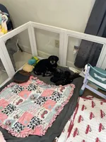 processed/20fd54d8-afef-4f7c-86a2-c6c8940d697e/facility/583530a4-1341-453f-b087-063a9d9bd42f