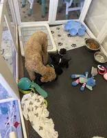 processed/20fd54d8-afef-4f7c-86a2-c6c8940d697e/facility/e4c8dbab-8363-4670-8632-0f71928faa90