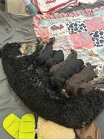 processed/20fd54d8-afef-4f7c-86a2-c6c8940d697e/facility/e5225ca3-f51c-425d-8416-7970572d9251