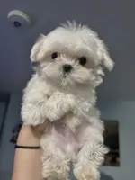 processed/20ff54c0-5dd4-41a4-967f-555a95fc533e/facility/b4505212-a91b-4f73-a174-e9fef6a2177b