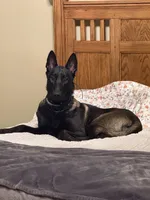 processed/2101305f-6189-4b84-a0f0-fcd09f33b56c/listing/84c60ec6-a209-4ebc-932a-91cbf980fb7b/2c97aa9b-5711-4ac5-a09a-e92380a71f00