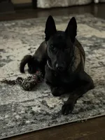 processed/2101305f-6189-4b84-a0f0-fcd09f33b56c/listing/84c60ec6-a209-4ebc-932a-91cbf980fb7b/68fb9570-b4db-430d-b9af-b95198377d72