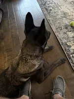 processed/2101305f-6189-4b84-a0f0-fcd09f33b56c/listing/84c60ec6-a209-4ebc-932a-91cbf980fb7b/7e9839cd-c838-41f9-a895-cff928c20b6f