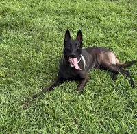 processed/2101305f-6189-4b84-a0f0-fcd09f33b56c/listing/84c60ec6-a209-4ebc-932a-91cbf980fb7b/b7dde8de-7344-479c-87c9-eab4a971a5eb