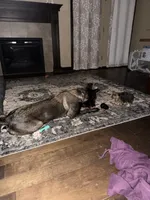 processed/2101305f-6189-4b84-a0f0-fcd09f33b56c/listing/84c60ec6-a209-4ebc-932a-91cbf980fb7b/d6a158d6-a33f-46d6-a520-92e8d886a67f