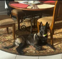 processed/2101305f-6189-4b84-a0f0-fcd09f33b56c/listing/84c60ec6-a209-4ebc-932a-91cbf980fb7b/d8f8ef9a-863f-4e43-a719-952b7ec061fd