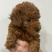 processed/210587de-123d-4b6a-a0b1-b24d338565d3/facility/1a9effb3-65de-4813-8f9d-811a99866bbb