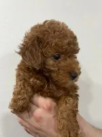 processed/210587de-123d-4b6a-a0b1-b24d338565d3/facility/1a9effb3-65de-4813-8f9d-811a99866bbb