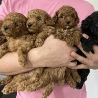 processed/210587de-123d-4b6a-a0b1-b24d338565d3/facility/2e74fe5e-10ec-415f-a076-cc23adfba91f