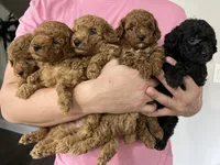 processed/210587de-123d-4b6a-a0b1-b24d338565d3/facility/2e74fe5e-10ec-415f-a076-cc23adfba91f