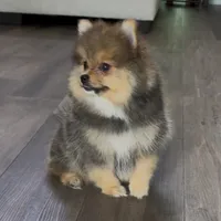 processed/210587de-123d-4b6a-a0b1-b24d338565d3/facility/3ff42ce8-6e8b-4aed-ba78-0872d527d5a1