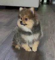 processed/210587de-123d-4b6a-a0b1-b24d338565d3/facility/3ff42ce8-6e8b-4aed-ba78-0872d527d5a1