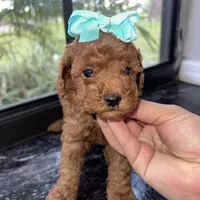 processed/210587de-123d-4b6a-a0b1-b24d338565d3/facility/43be8e8b-d442-4688-afdf-dcc81055272c