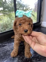 processed/210587de-123d-4b6a-a0b1-b24d338565d3/facility/43be8e8b-d442-4688-afdf-dcc81055272c