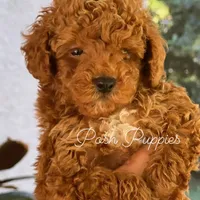 processed/210587de-123d-4b6a-a0b1-b24d338565d3/facility/7c2a36cb-339b-431c-ab7c-2f37e43072ea