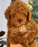 processed/210587de-123d-4b6a-a0b1-b24d338565d3/facility/7c2a36cb-339b-431c-ab7c-2f37e43072ea