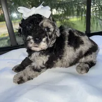 processed/210587de-123d-4b6a-a0b1-b24d338565d3/facility/847e8ce5-977d-46c9-a777-d1517983dba7