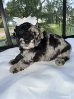 processed/210587de-123d-4b6a-a0b1-b24d338565d3/facility/847e8ce5-977d-46c9-a777-d1517983dba7