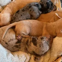 processed/210587de-123d-4b6a-a0b1-b24d338565d3/facility/b8294535-451c-43b2-9d9c-c462f88f7148