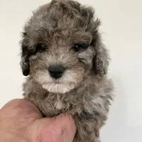 processed/210587de-123d-4b6a-a0b1-b24d338565d3/facility/c7ee20a5-095f-495a-8a5e-c385acc44231