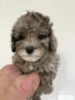 processed/210587de-123d-4b6a-a0b1-b24d338565d3/facility/c7ee20a5-095f-495a-8a5e-c385acc44231