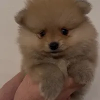 processed/210587de-123d-4b6a-a0b1-b24d338565d3/facility/d61d6e49-e513-45e2-bee5-24375cbc570e