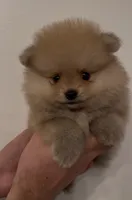 processed/210587de-123d-4b6a-a0b1-b24d338565d3/facility/d61d6e49-e513-45e2-bee5-24375cbc570e