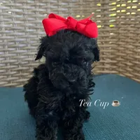 processed/210587de-123d-4b6a-a0b1-b24d338565d3/facility/f9313ecd-7908-430e-a262-f2282ee92ff4