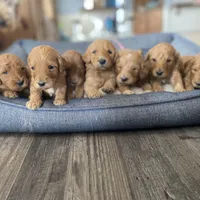 Facility photo