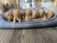 processed/210d7f2e-0c25-4608-982d-7fb27fc8960c/facility/8e8aac24-4afd-4fae-ad57-4bf76e55f793