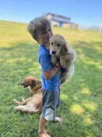 processed/210d7f2e-0c25-4608-982d-7fb27fc8960c/facility/ede3694c-b2e6-4fbe-a2b7-293d05535581