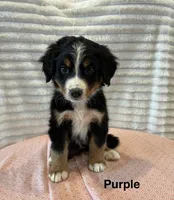 processed/2112a748-ba72-404d-86d9-2a7108c3e527/facility/00fdced7-ee01-4f32-badb-1c4aed85c772