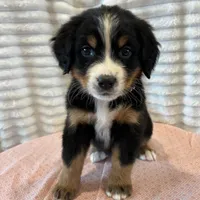 processed/2112a748-ba72-404d-86d9-2a7108c3e527/facility/13865e5a-09b1-4393-9c59-64792bd44cbe