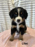 processed/2112a748-ba72-404d-86d9-2a7108c3e527/facility/13865e5a-09b1-4393-9c59-64792bd44cbe