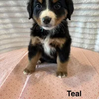 processed/2112a748-ba72-404d-86d9-2a7108c3e527/facility/20dc3f27-e0cd-4b5e-ad7c-a04dae499385