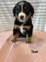 processed/2112a748-ba72-404d-86d9-2a7108c3e527/facility/20dc3f27-e0cd-4b5e-ad7c-a04dae499385