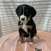 processed/2112a748-ba72-404d-86d9-2a7108c3e527/facility/42b11756-80e5-46ed-ab33-267fd72219ea