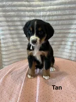 processed/2112a748-ba72-404d-86d9-2a7108c3e527/facility/42b11756-80e5-46ed-ab33-267fd72219ea