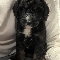 processed/2112a748-ba72-404d-86d9-2a7108c3e527/facility/6f7e7e84-f416-4097-8459-f6dd36b673a8