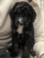 processed/2112a748-ba72-404d-86d9-2a7108c3e527/facility/6f7e7e84-f416-4097-8459-f6dd36b673a8