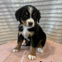 processed/2112a748-ba72-404d-86d9-2a7108c3e527/facility/73e5b1f2-e88a-49fb-b45a-e08d736a13b2