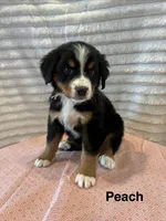 processed/2112a748-ba72-404d-86d9-2a7108c3e527/facility/73e5b1f2-e88a-49fb-b45a-e08d736a13b2