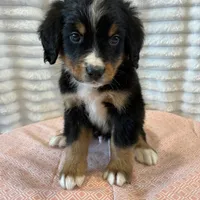 processed/2112a748-ba72-404d-86d9-2a7108c3e527/facility/73ec20ea-d82b-48c9-b2ab-f053edb0140d