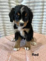 processed/2112a748-ba72-404d-86d9-2a7108c3e527/facility/73ec20ea-d82b-48c9-b2ab-f053edb0140d