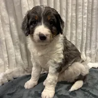 processed/2112a748-ba72-404d-86d9-2a7108c3e527/facility/75d8c1e4-44e5-4bbd-b831-89e93c132e15