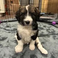 processed/2112a748-ba72-404d-86d9-2a7108c3e527/facility/e7c53ea6-1368-4eb3-8e97-5951eef63bfa