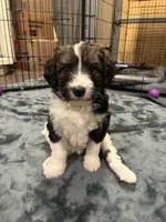 processed/2112a748-ba72-404d-86d9-2a7108c3e527/facility/e7c53ea6-1368-4eb3-8e97-5951eef63bfa